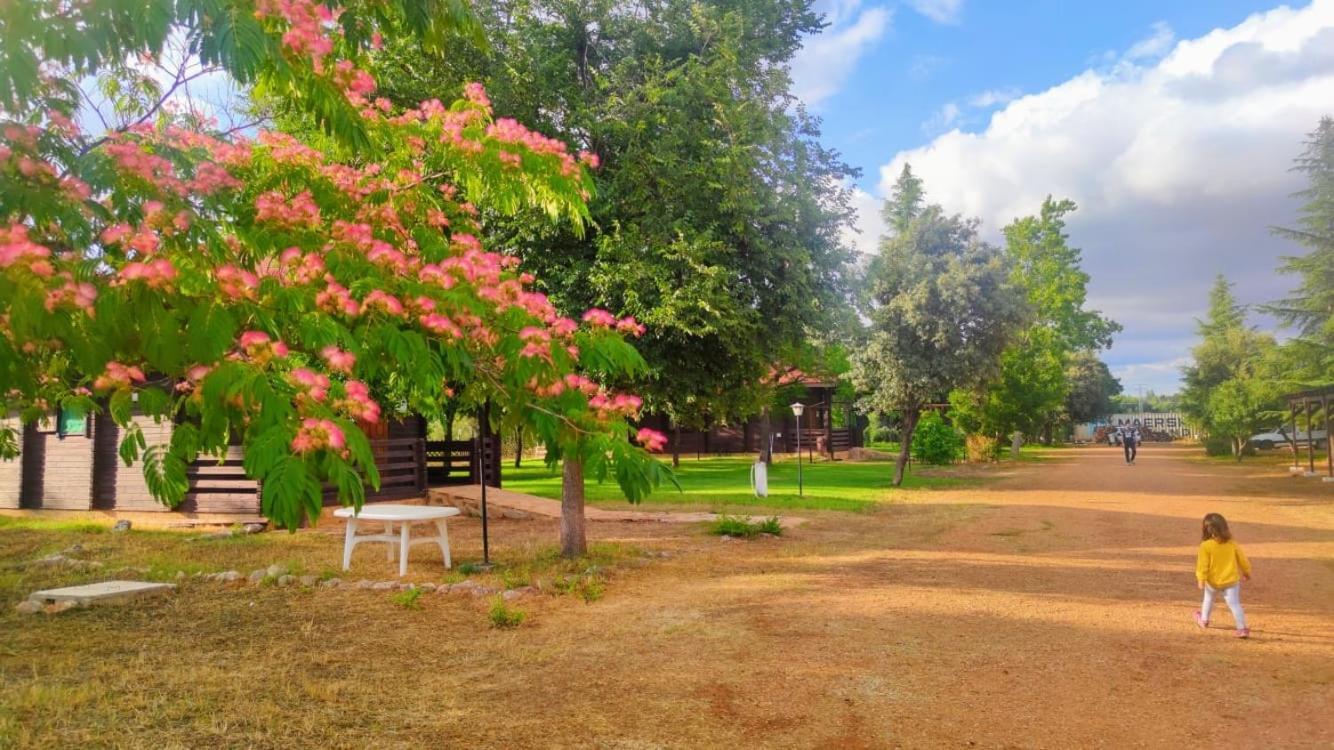 El Robledo  Casas Rurales Tabla Honda מראה חיצוני תמונה